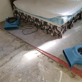 Mold clean up in a bedroom