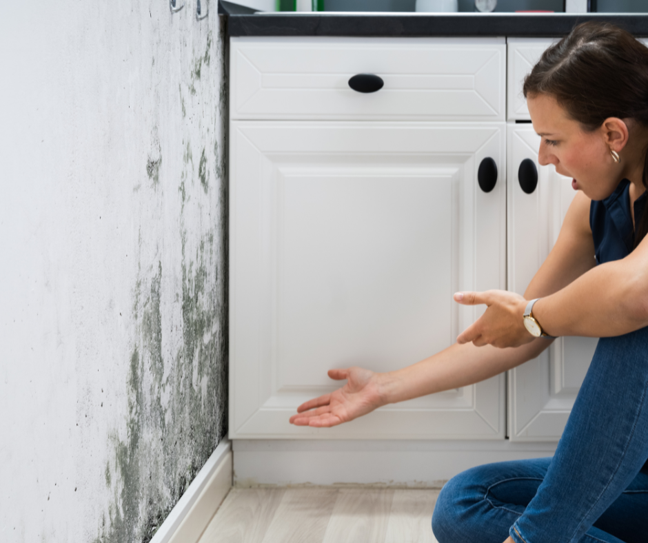 Mold on wall in a kitchen