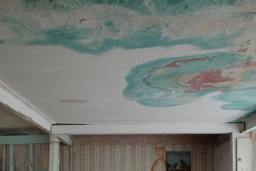 stains on ceiling by marina leonova - pexels