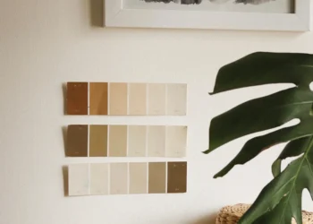 Paint color swatches on an interior wall. Photo by Mona Termos / Pexels